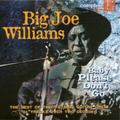 Big Joe Williams | Baby Please Don't Go | CD