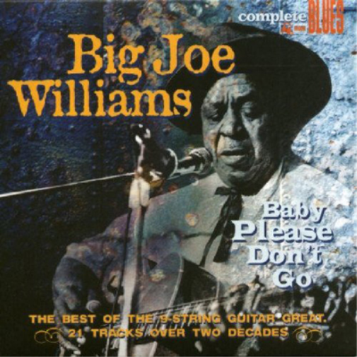 Big Joe Williams | Baby Please Don't Go | CD