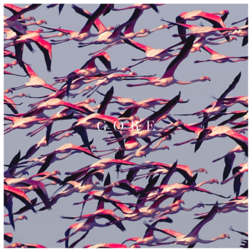 Deftones | GORE | 2LP