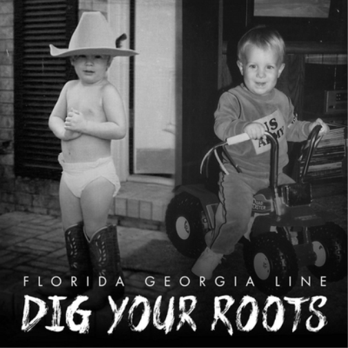 Florida Georgia Line | Dig Your Roots | CD