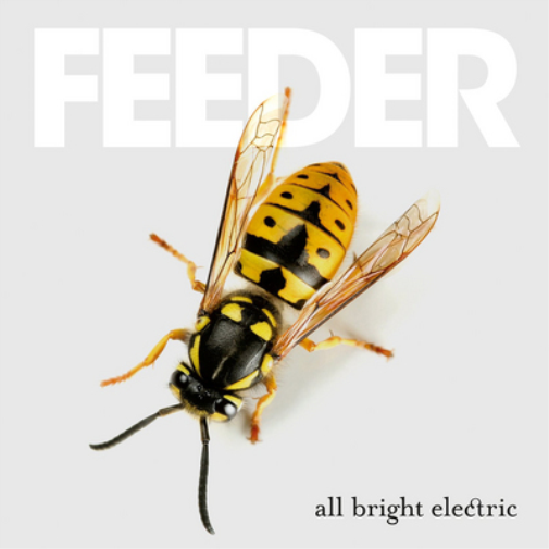 Feeder | All Bright Electric (Deluxe Edition) | CD