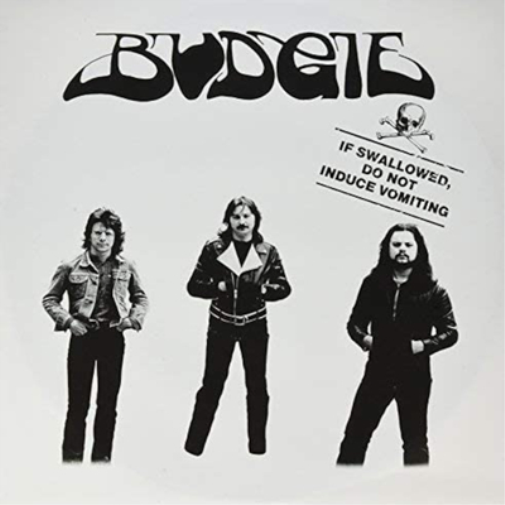 Budgie | If Swallowed Do Not Induce Vomiting (12in) | Vinyl