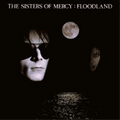 Sisters Of Mercy | Floodland | 1LP
