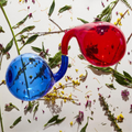 Dirty Projectors | Lamp Lit Prose | CD