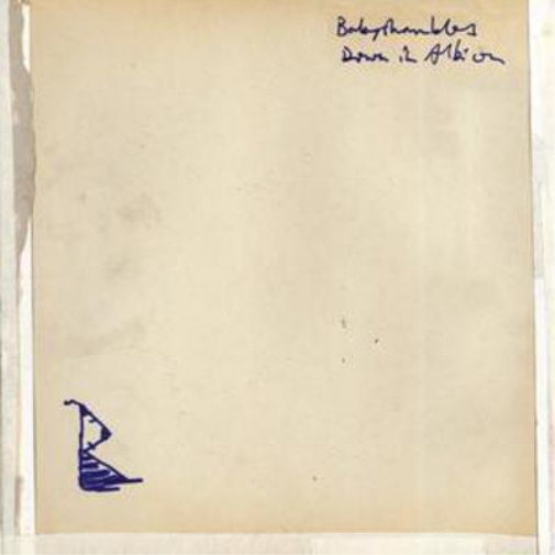 Babyshambles | Down in Albion | CD