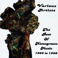 Various Artists | The Best of Homegrown Music 1968-1980 | CD