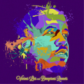 Big Boi | Vicious Lies and Dangerous Rumors | CD