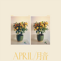 Emmy the Great | April | CD