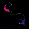 Brogan Bentley | The Snake | CD